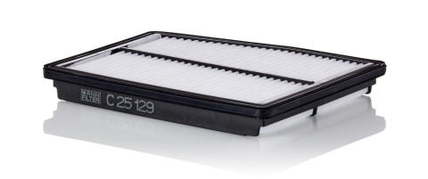 FILTR POWIETRZA HYUNDAI, C25129