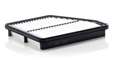 FILTR POWIETRZA HYUNDAI MATRIX 3/01-, C2421