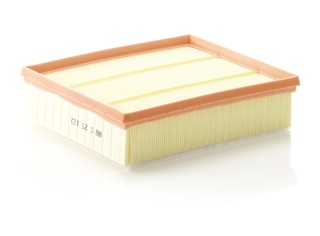 FILTR POWIETRZA LAND ROVER, C25122